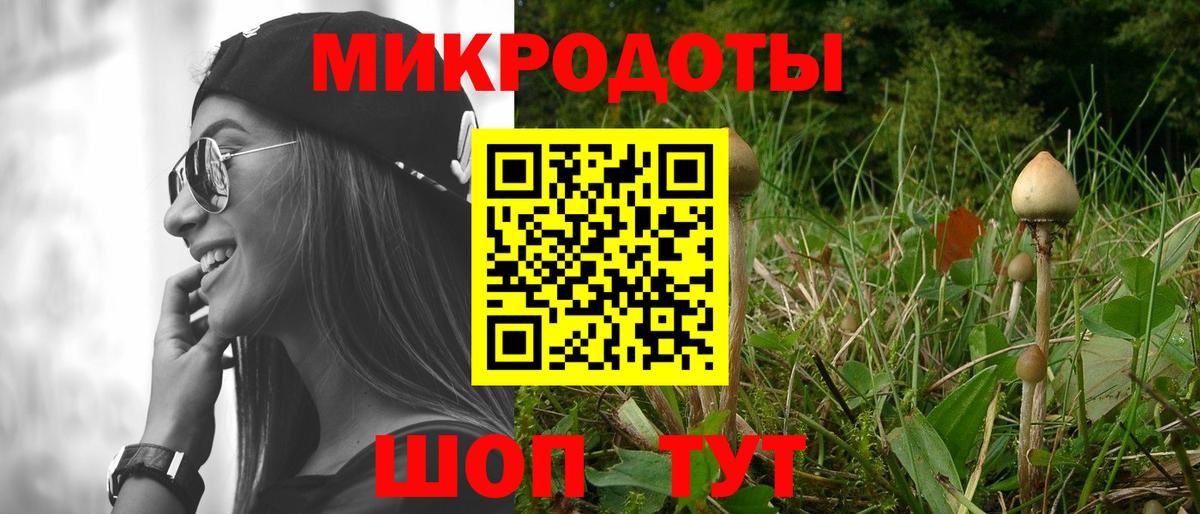 Галлюциногенные грибы Psilocybe Лабытнанги